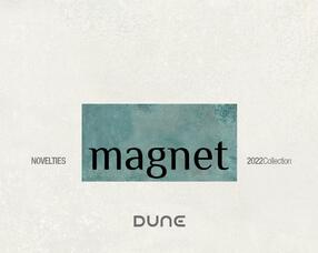 Magnet 22