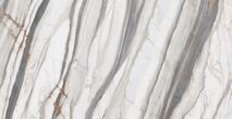 Calacatta Oyster White