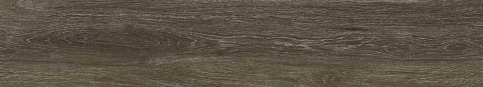 Amberwood Olmo