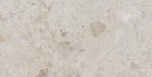 Petra Taupe